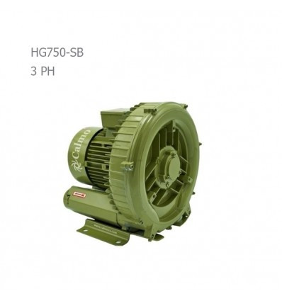 پمپ سایدچنل کالمو (CALMO) مدل HG750-SB