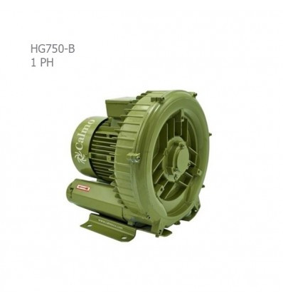 پمپ سایدچنل کالمو (CALMO) مدل HG750-B